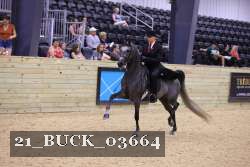 21_BUCK_03664 proof