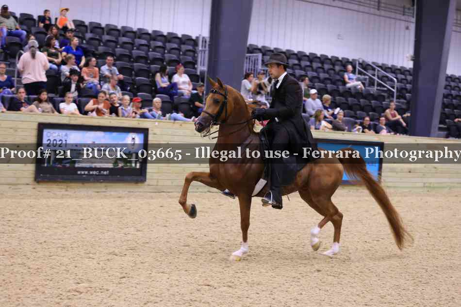 Proof 21_BUCK_03665