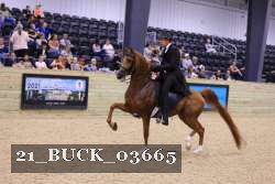 21_BUCK_03665 proof