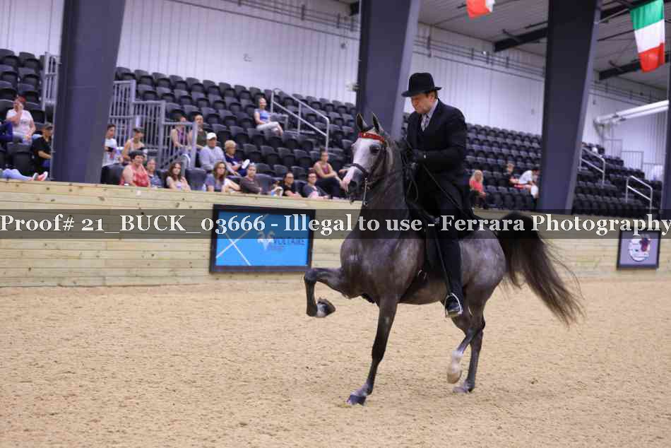 Proof 21_BUCK_03666