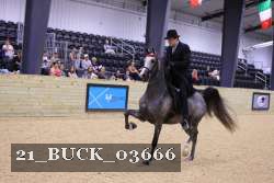 21_BUCK_03666 proof
