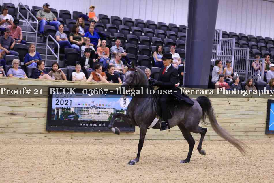 Proof 21_BUCK_03667