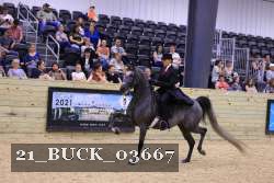 21_BUCK_03667 proof