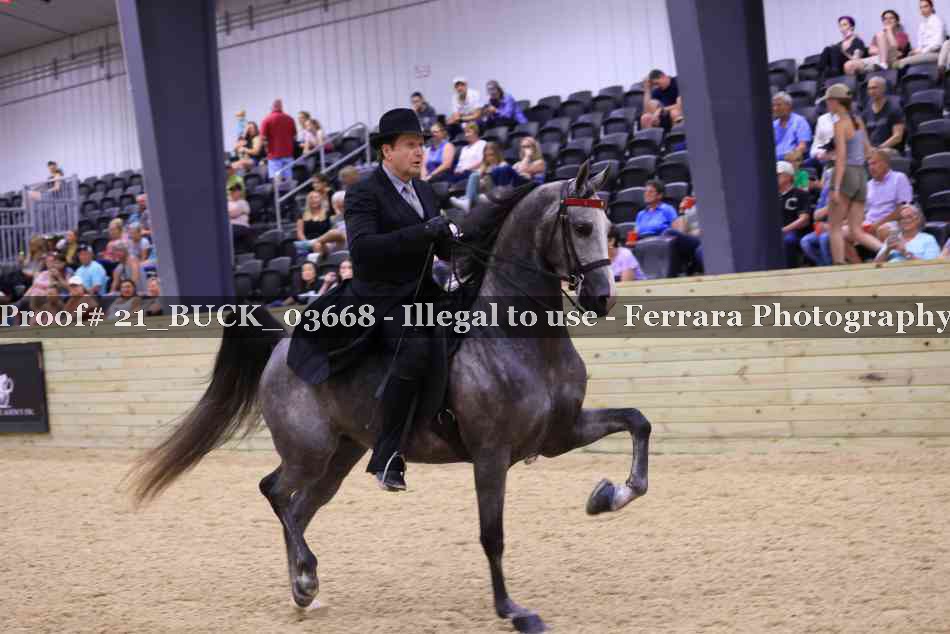 Proof 21_BUCK_03668