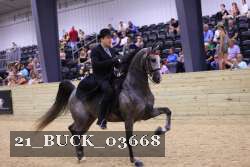 21_BUCK_03668 proof