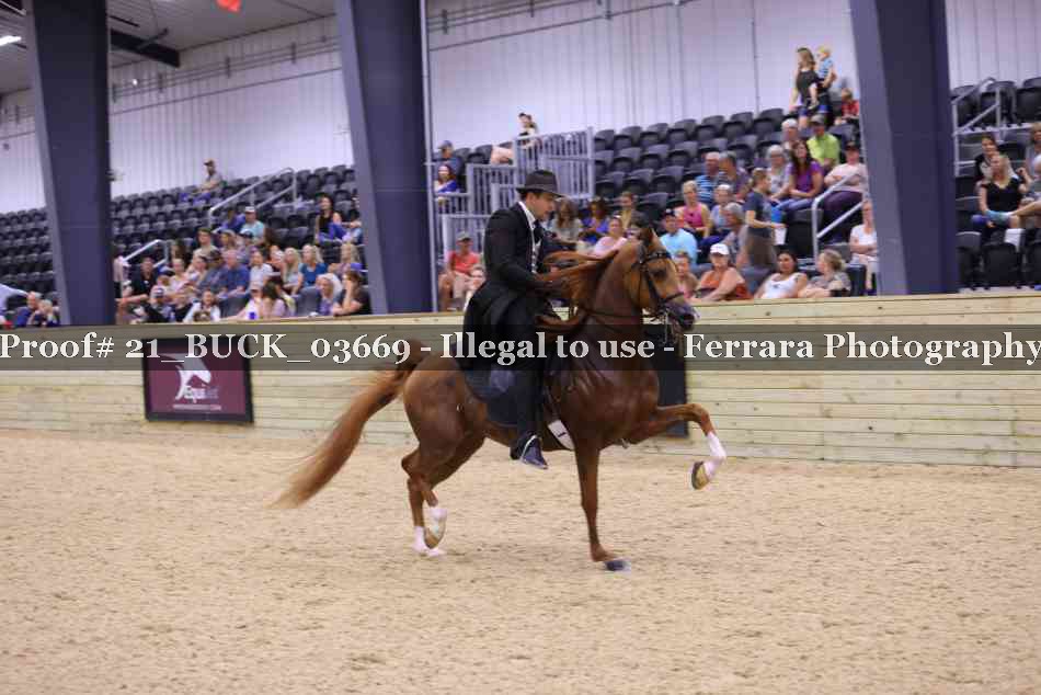 Proof 21_BUCK_03669