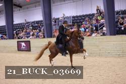 21_BUCK_03669 proof