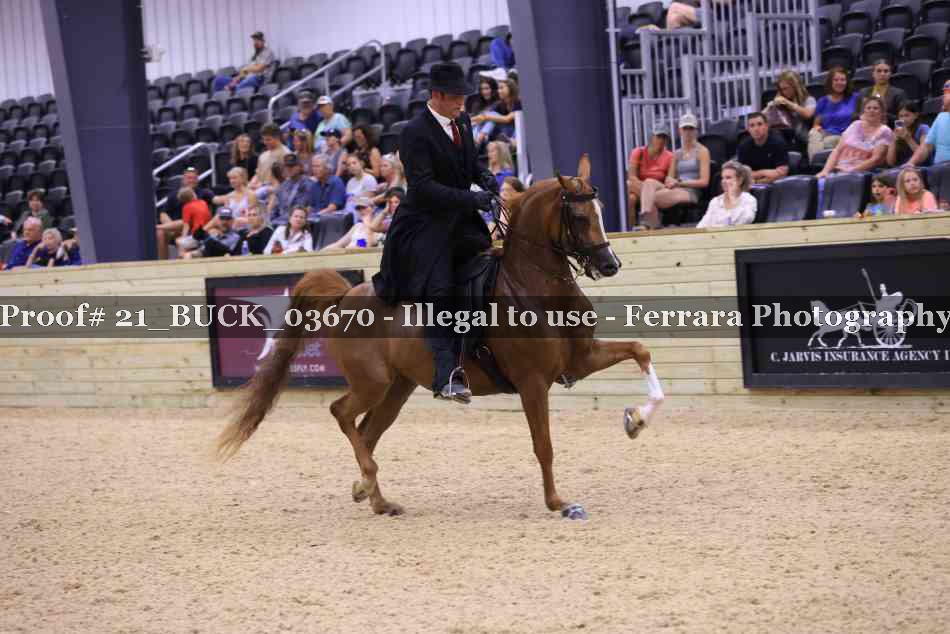 Proof 21_BUCK_03670