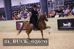 21_BUCK_03670 proof