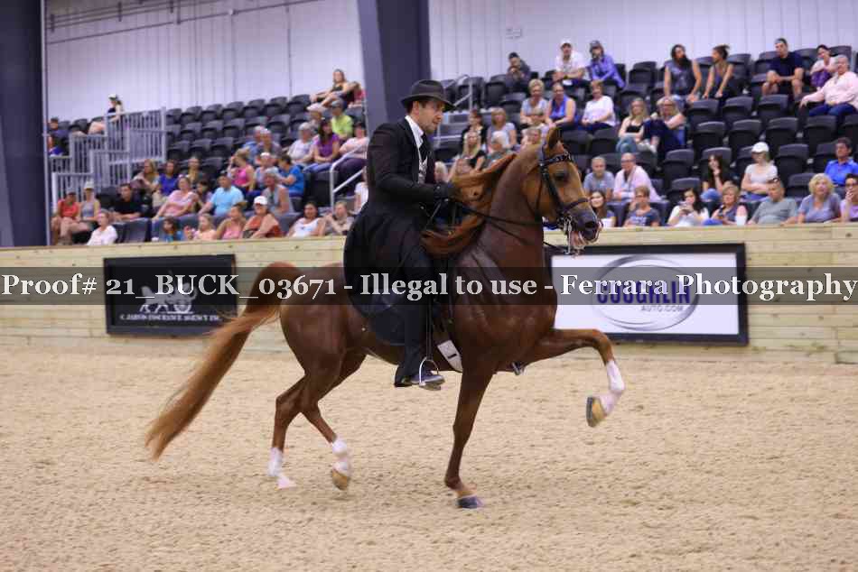 Proof 21_BUCK_03671