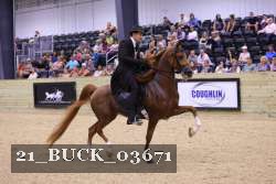 21_BUCK_03671 proof