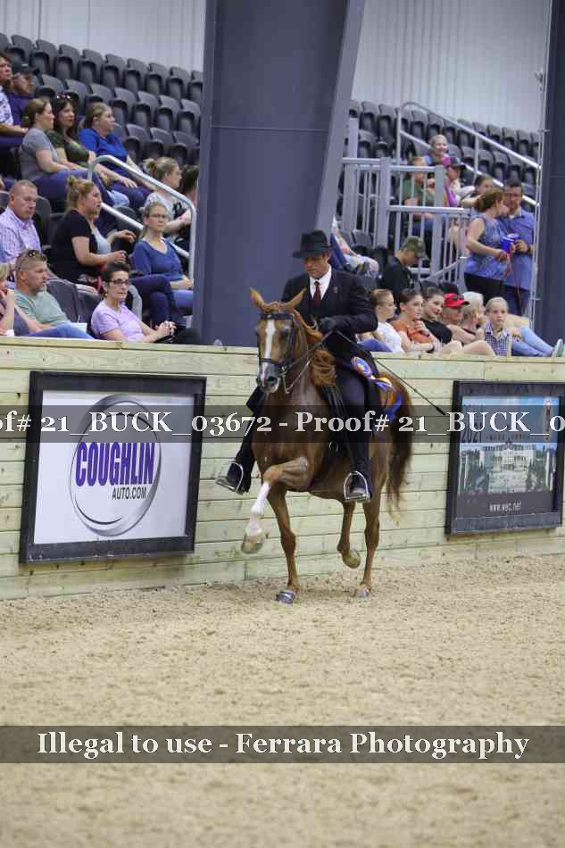 Proof 21_BUCK_03672