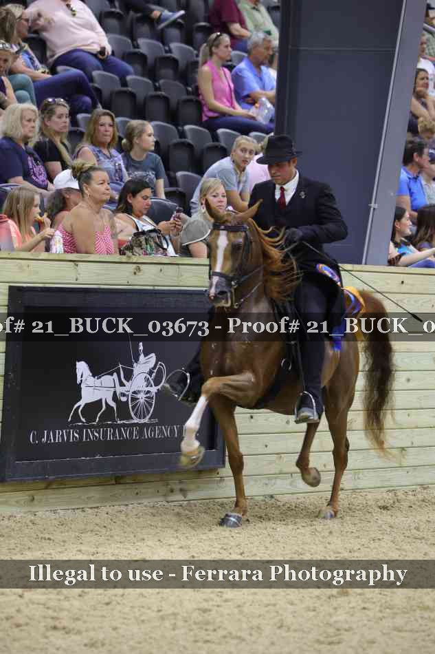 Proof 21_BUCK_03673