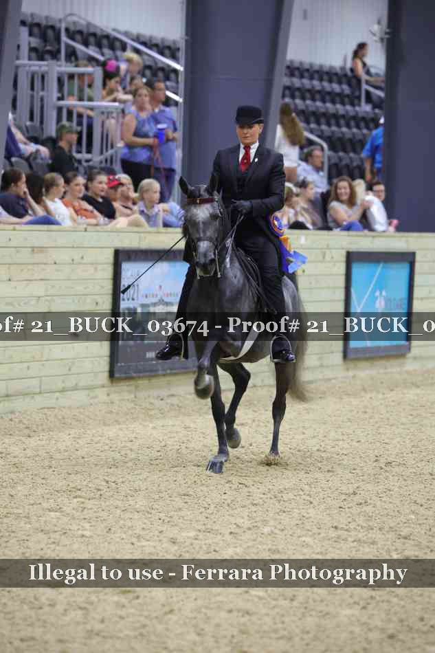 Proof 21_BUCK_03674