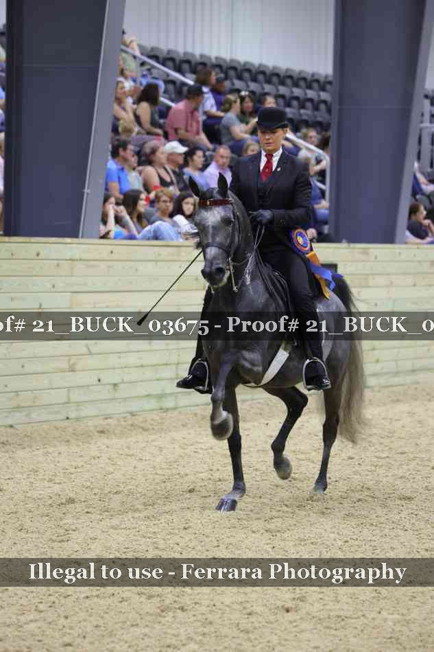 Proof 21_BUCK_03675