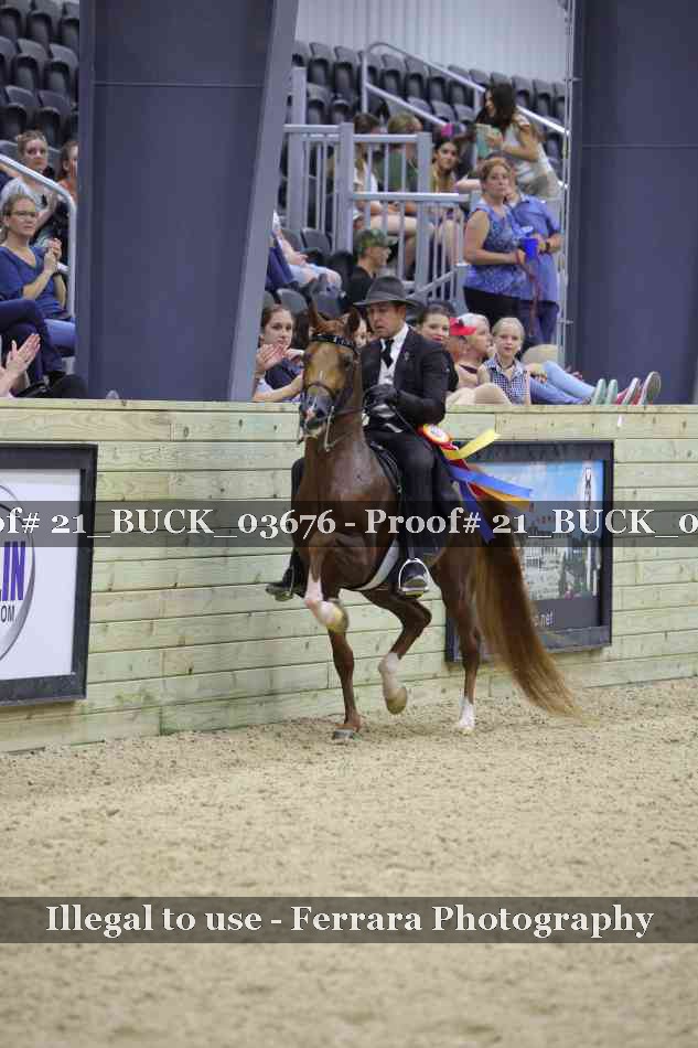 Proof 21_BUCK_03676