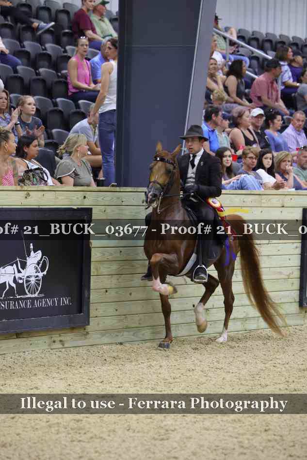 Proof 21_BUCK_03677