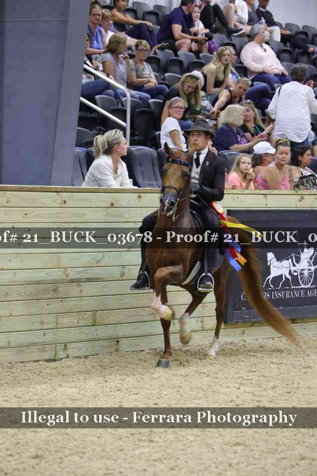 Proof 21_BUCK_03678