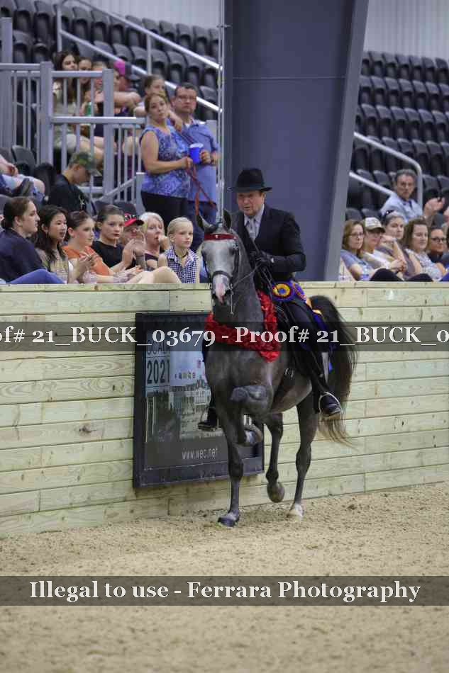 Proof 21_BUCK_03679