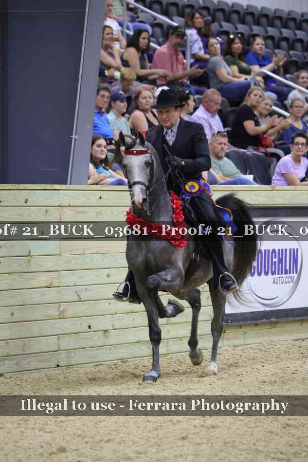 Proof 21_BUCK_03681