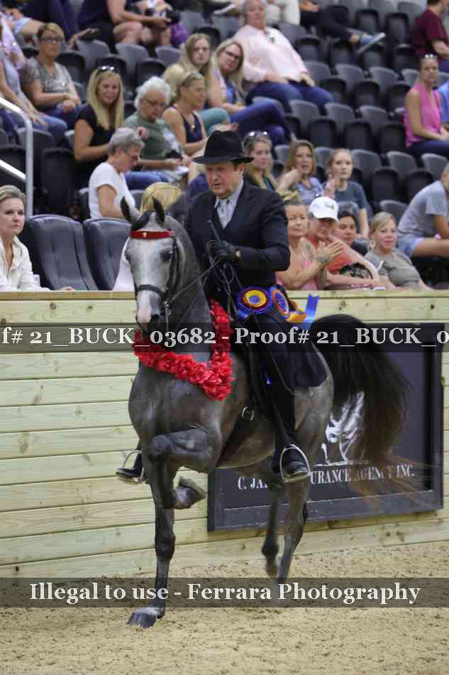Proof 21_BUCK_03682