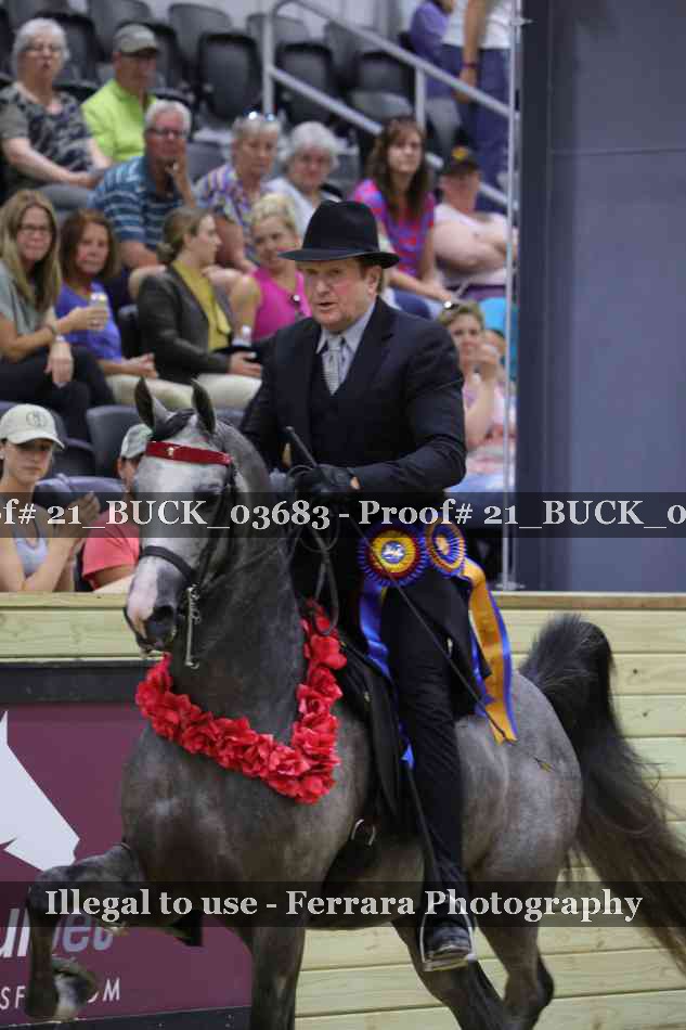 Proof 21_BUCK_03683
