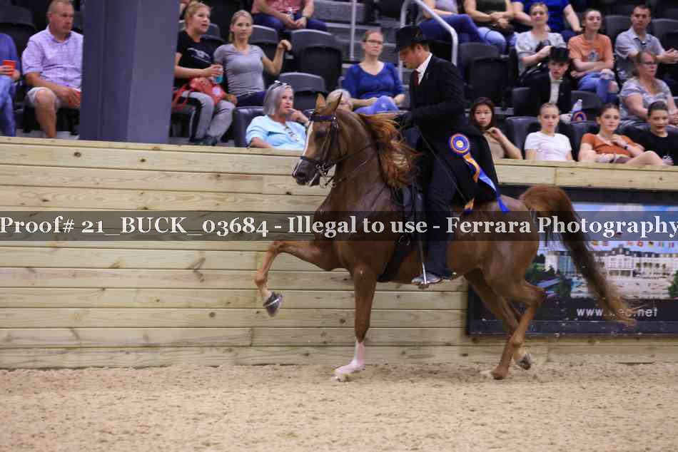 Proof 21_BUCK_03684