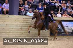 21_BUCK_03684 proof