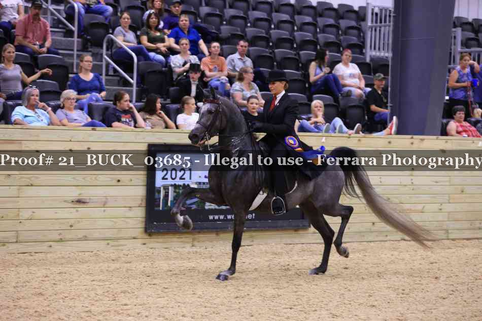 Proof 21_BUCK_03685