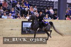 21_BUCK_03685 proof