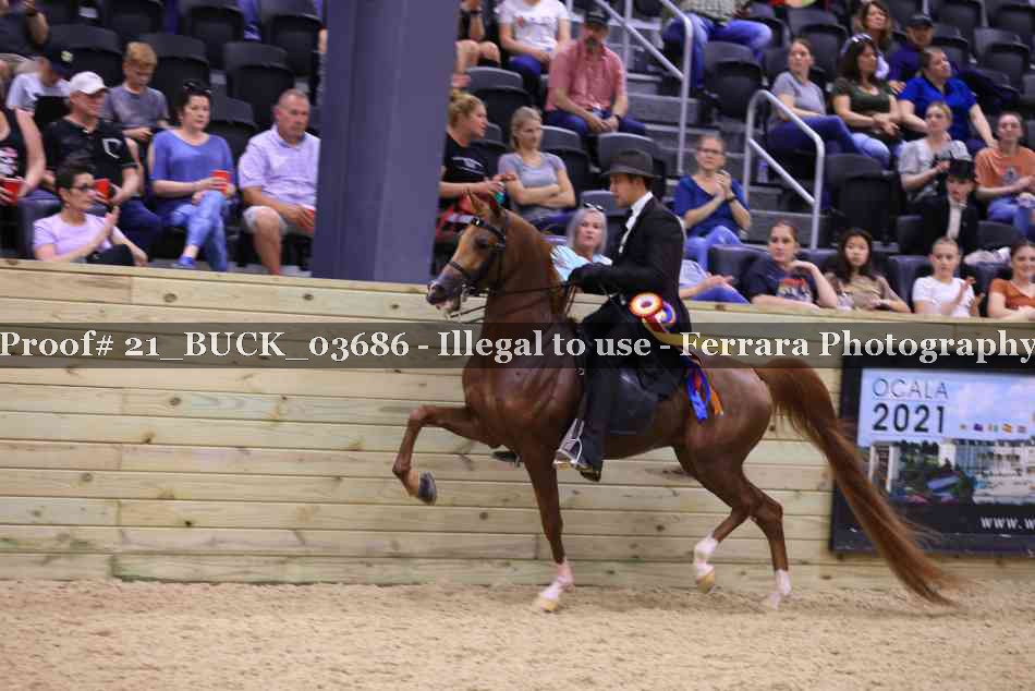 Proof 21_BUCK_03686