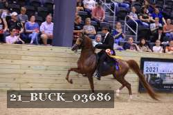 21_BUCK_03686 proof