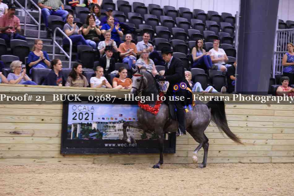Proof 21_BUCK_03687