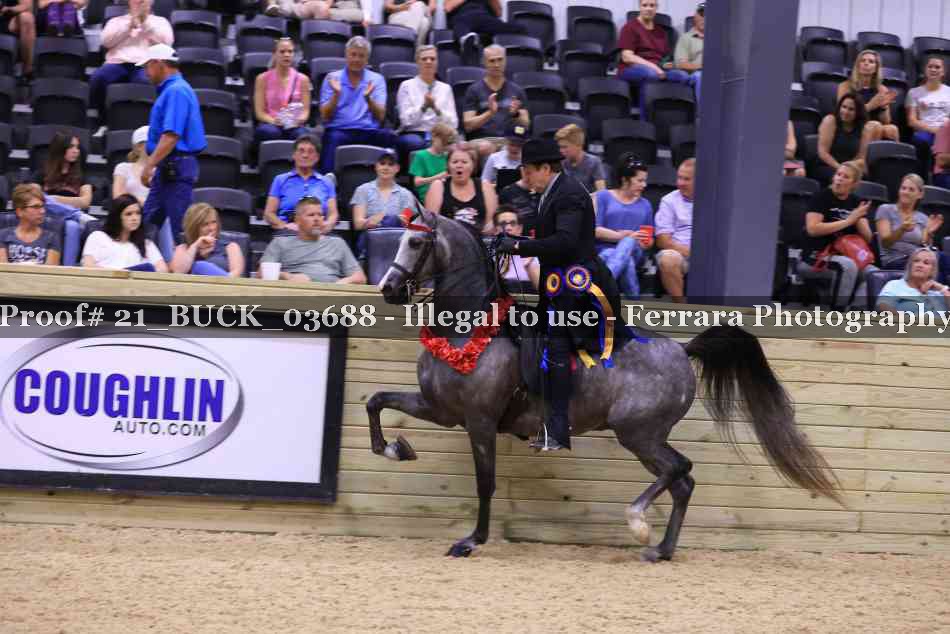 Proof 21_BUCK_03688