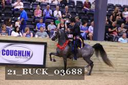21_BUCK_03688 proof