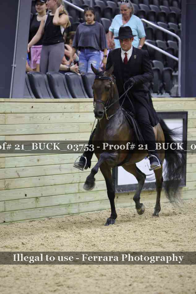 Proof 21_BUCK_03753