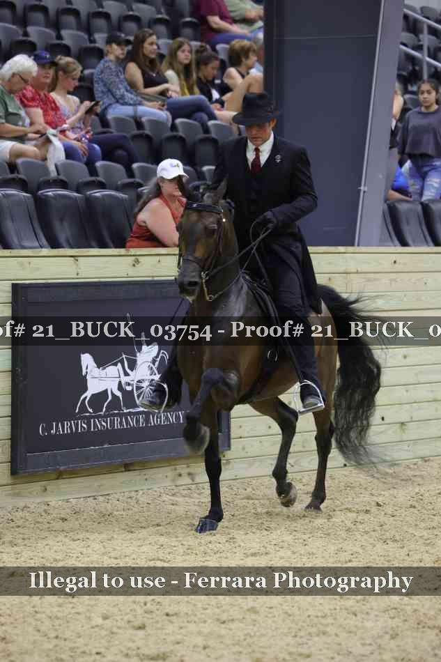 Proof 21_BUCK_03754