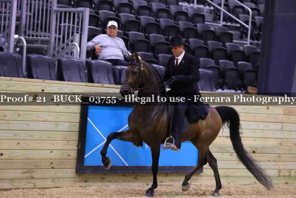 Proof 21_BUCK_03755