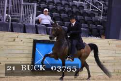 21_BUCK_03755 proof