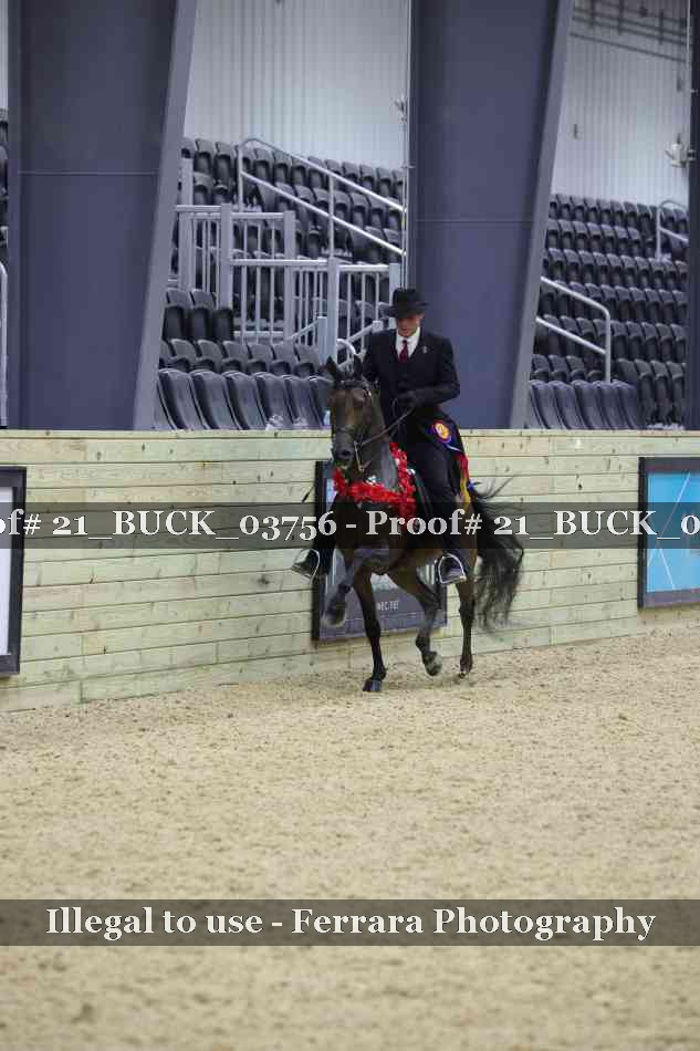 Proof 21_BUCK_03756