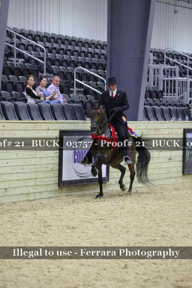 Proof 21_BUCK_03757