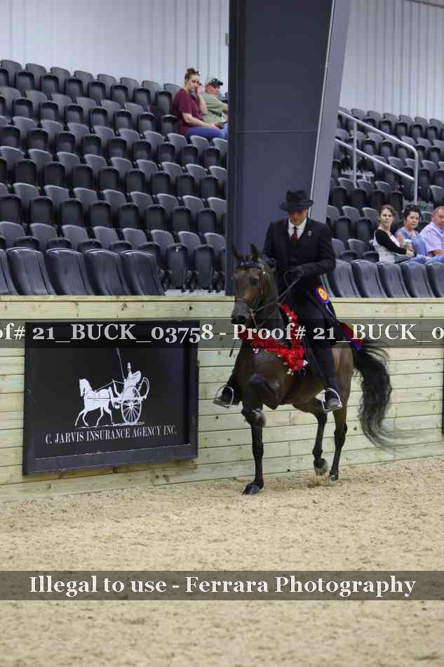 Proof 21_BUCK_03758