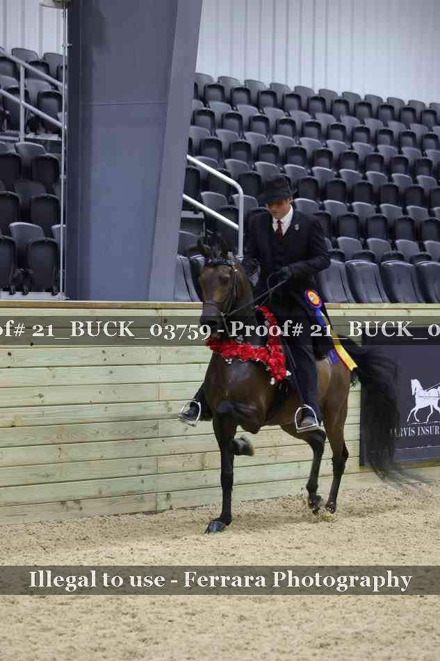 Proof 21_BUCK_03759