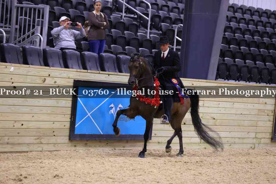 Proof 21_BUCK_03760