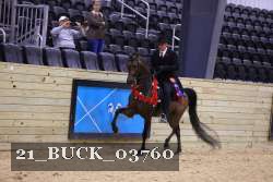 21_BUCK_03760 proof