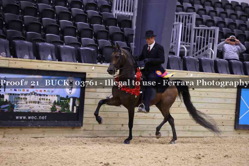 Proof 21_BUCK_03761