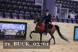21_BUCK_03761 proof