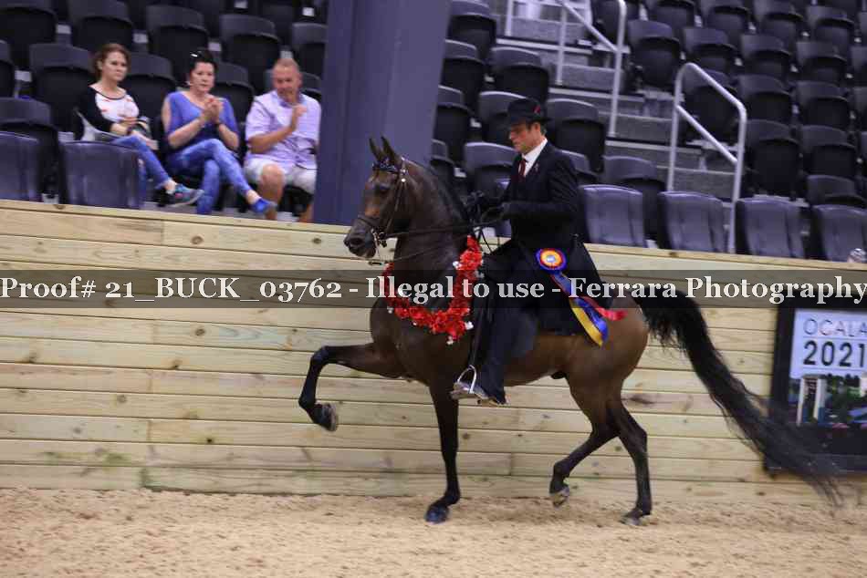 Proof 21_BUCK_03762
