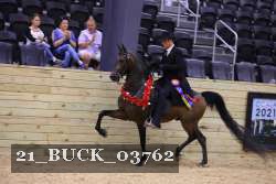 21_BUCK_03762 proof