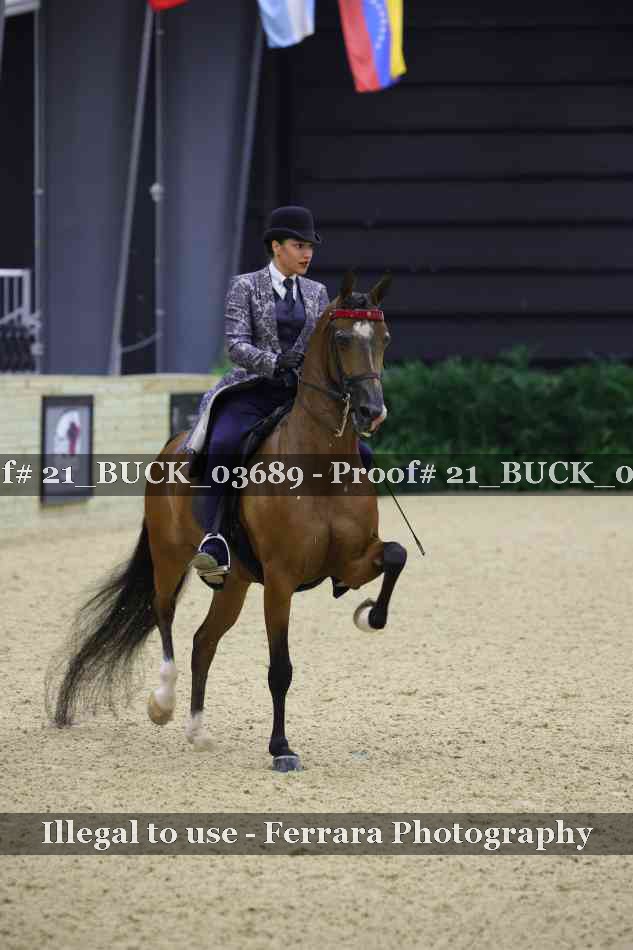 Proof 21_BUCK_03689